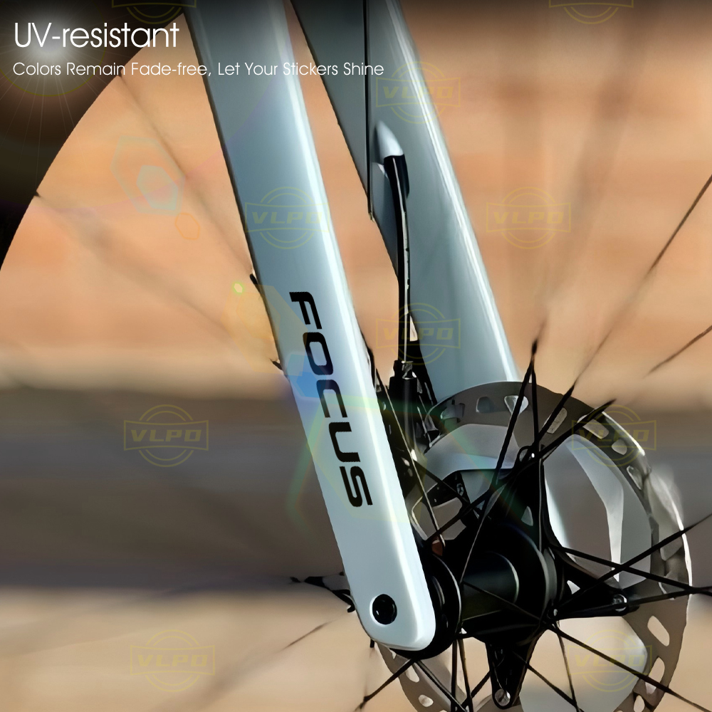 Adesivi Luminosi per Biciclett - Mountain Biking Whistler recensione e prezzo